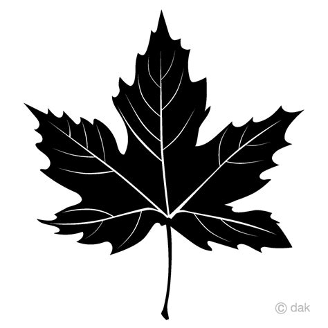 maple leaf clip art black and white.